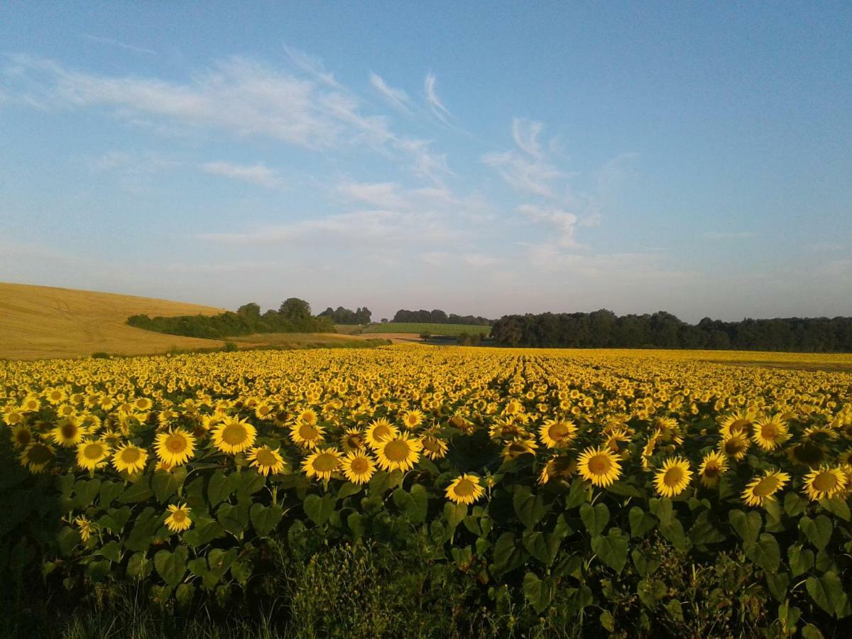فيلا Fleur Du Soleil Agudelle المظهر الخارجي الصورة