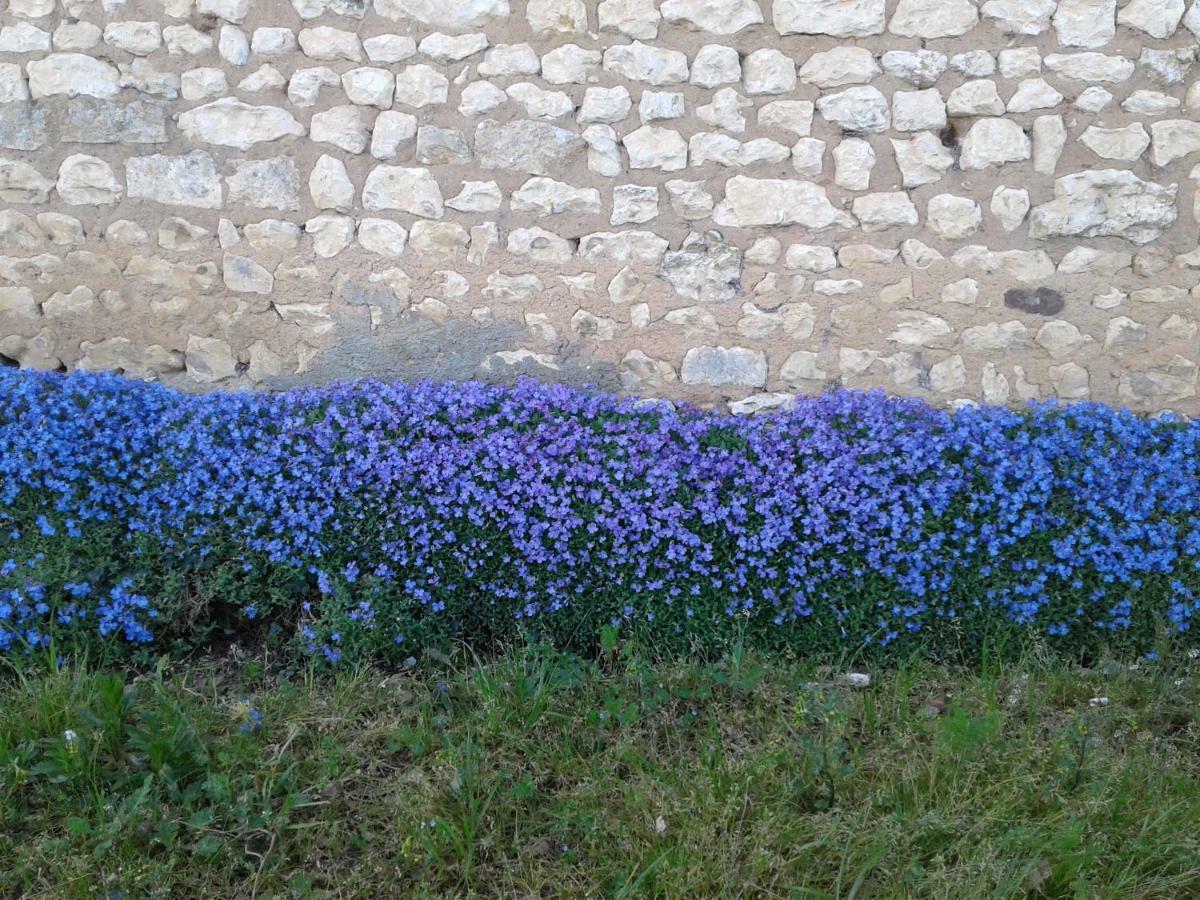 فيلا Fleur Du Soleil Agudelle المظهر الخارجي الصورة